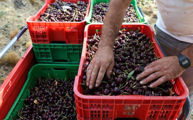 Jornaleros en una imagen de archivo