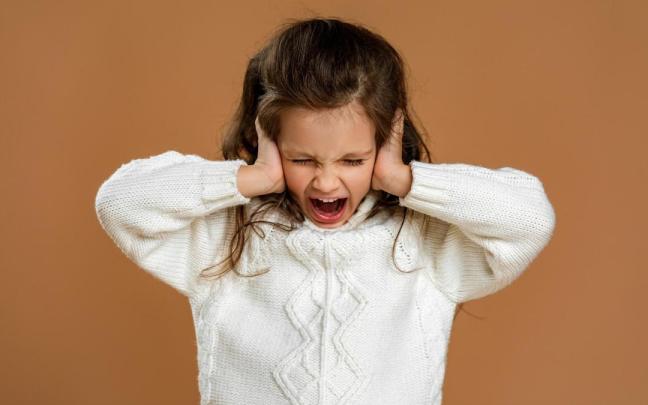 Los ruidos fuertes causan estrés y dolor de oídos a los más pequeños.