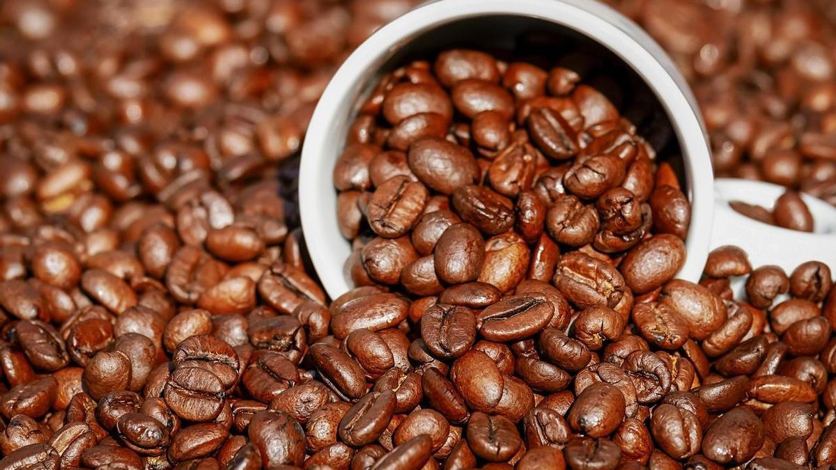 El café es un estimulante neuronal con efectos positivos para el cerebro.