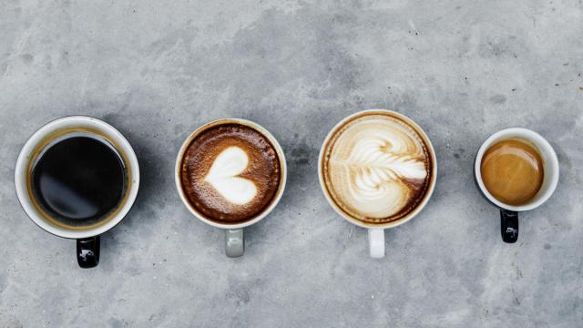 La bacteria intestinal que explica los beneficios del café para la salud digestiva.