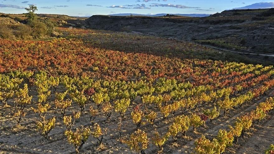 La reforma de la normativa europea modifica la base jurídica de la Intervención Sectorial del Vino.