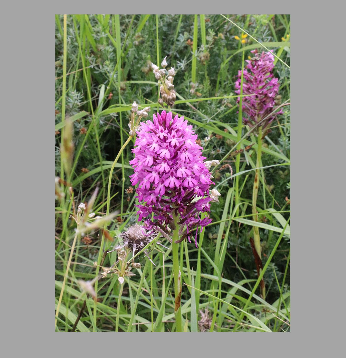 Imagen ganadora en la categoría de 14 a 18 años