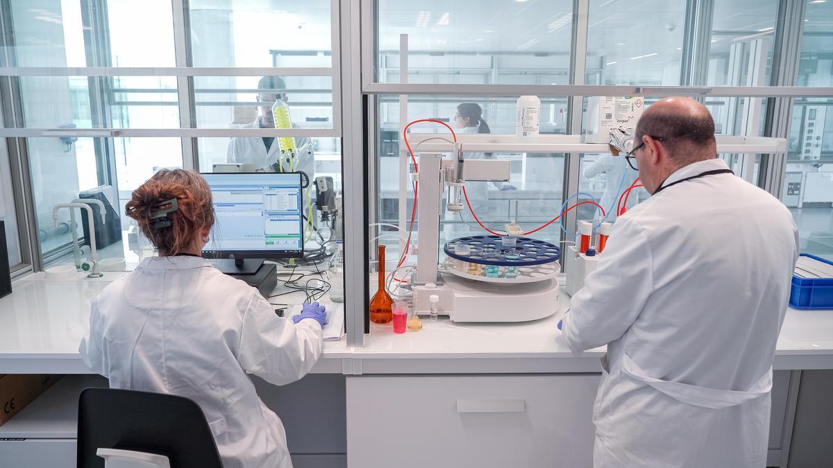 El beneficio neto de la compañía en 2025 ascendió a 79,6 millones de euros