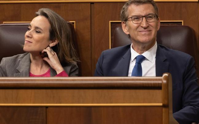 El líder del PP, Alberto Núñez Feijóo, en el Congreso. / EP El líder del PP, Alberto Núñez Feijóo, en el Congreso.