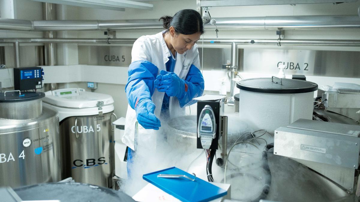Una mujer trabaja en una sala de criopreservación de células.