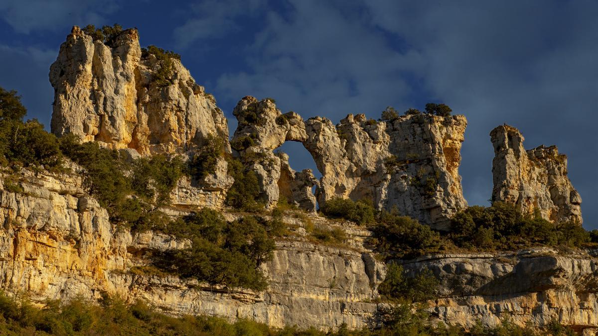 "Beso de los camellos".