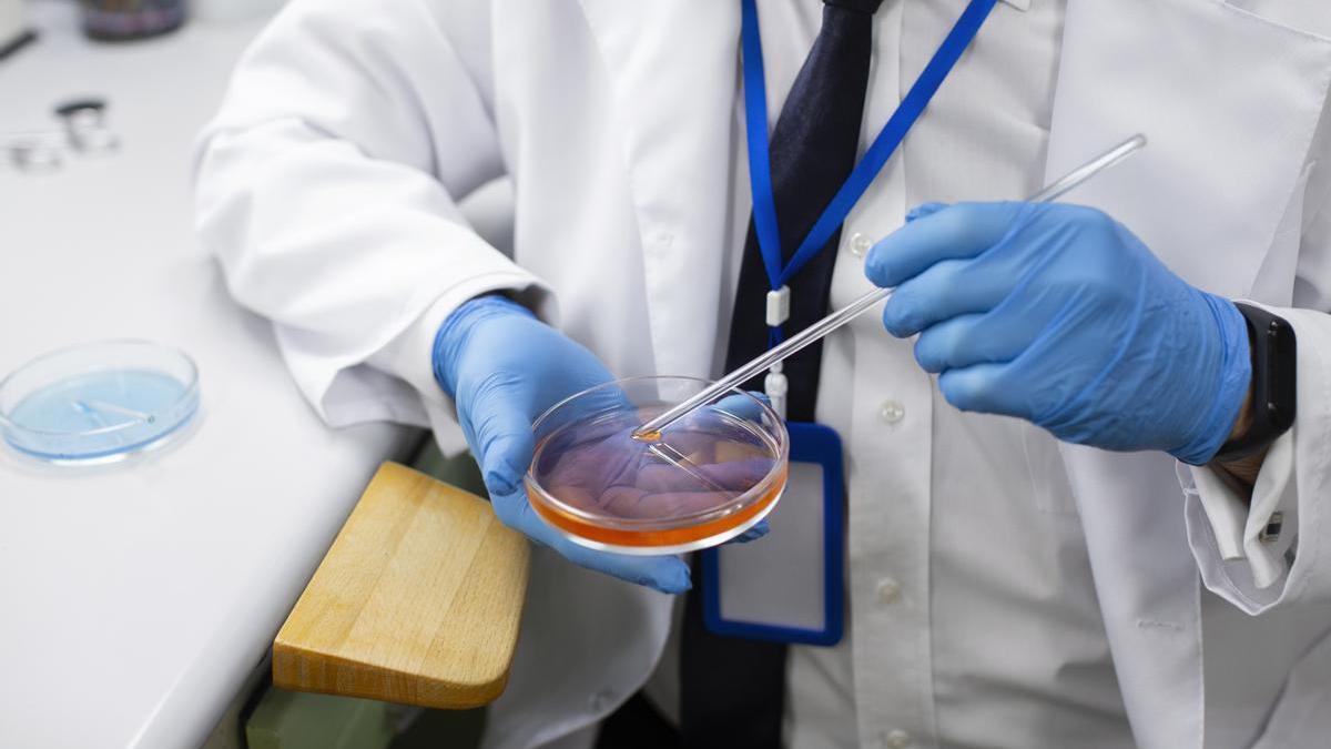 Un científico analiza una muestra en un laboratorio.
