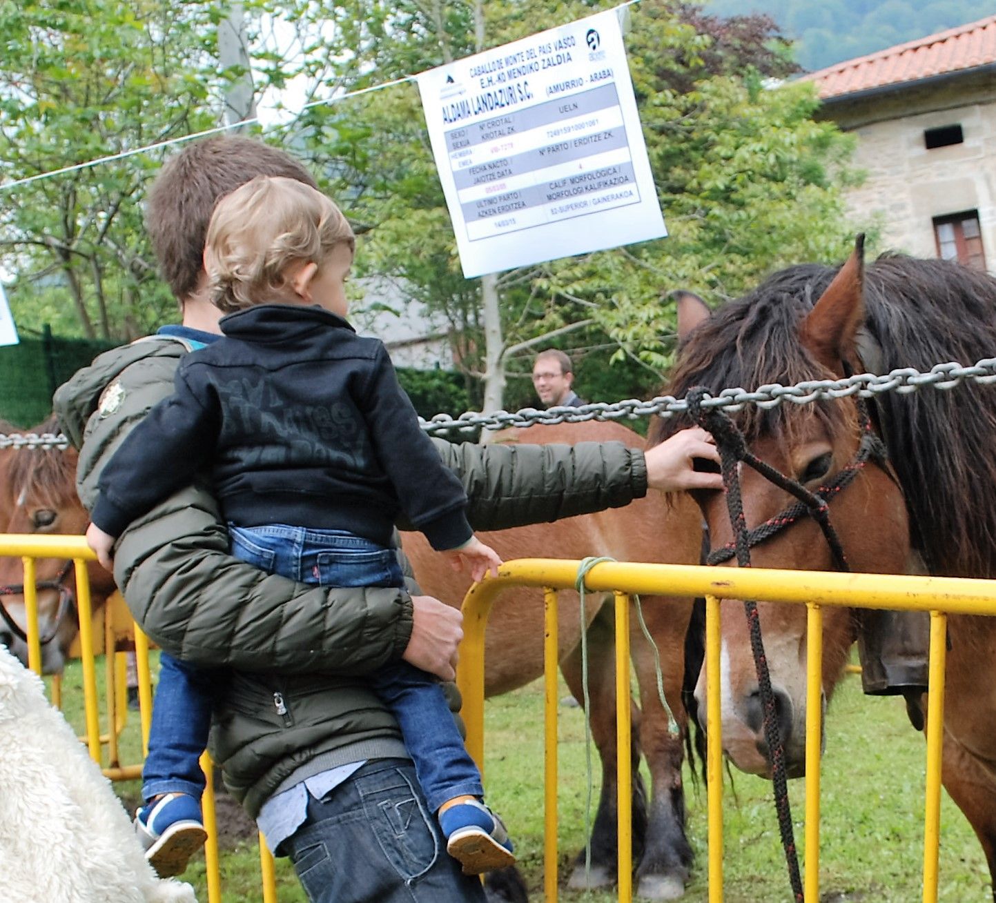 Muestra de equinos de raza País Vasco en una pasada feria de San Isidro en Respaldiza
