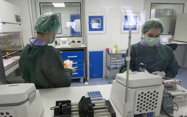Dos mujeres trabajan en los laboratorios de un hospital de la red pública vasca. Dos mujeres trabajan en los laboratorios de un hospital de la red pública vasca.