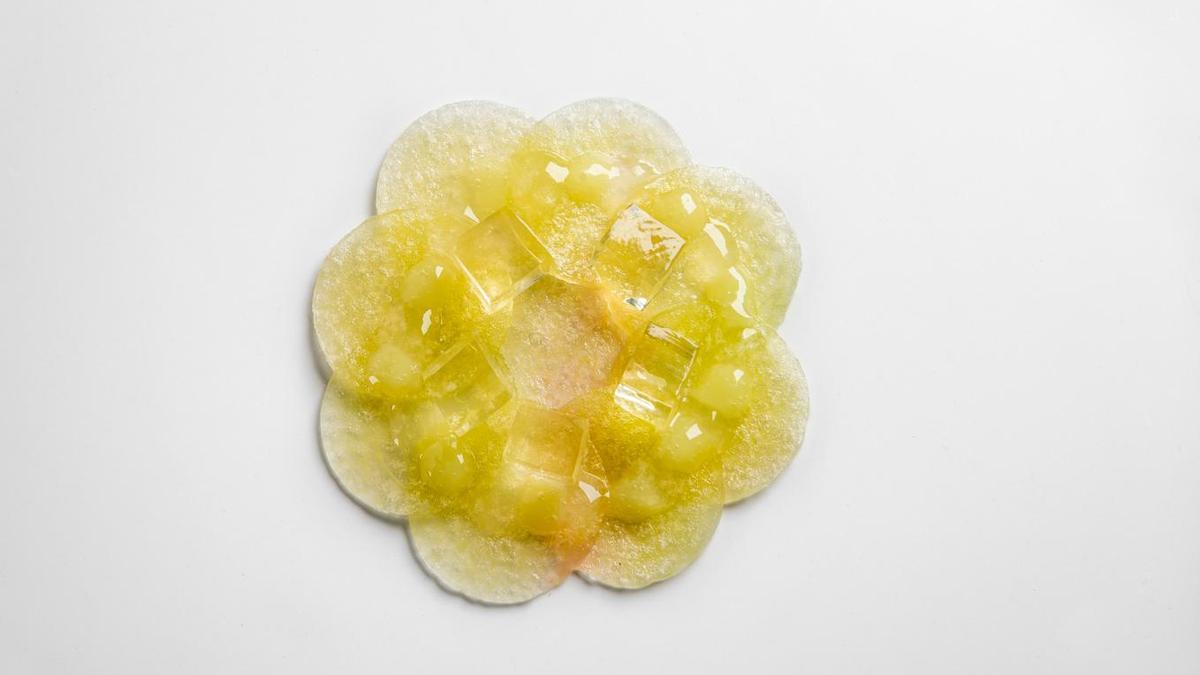 Piel de sandía, de Leandro Gil.