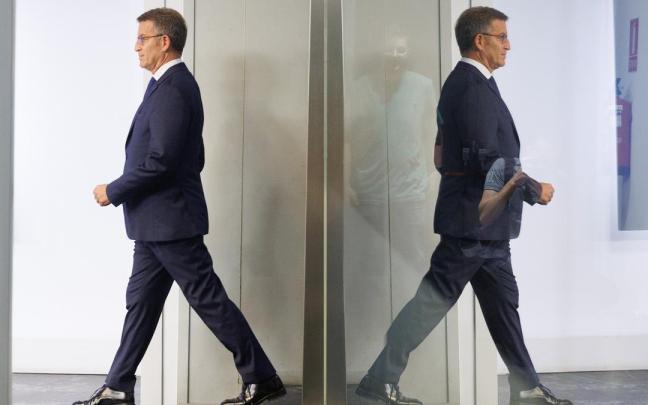 Feijóo, fotografiado en la sede del PP en la calle Génova. Feijóo, fotografiado en la sede del PP en la calle Génova.