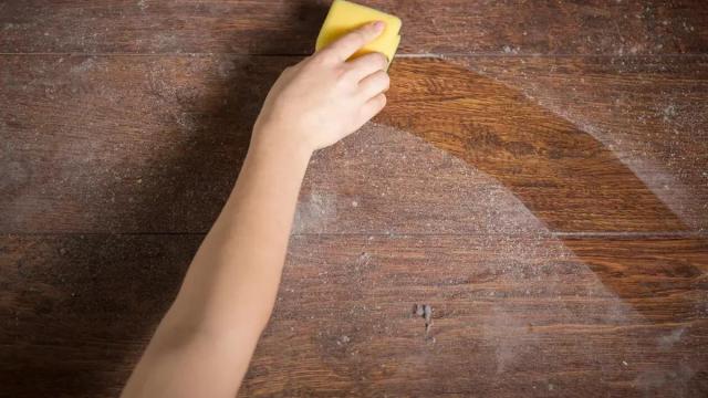 Este artículo de Lidl es perfecto para despedirnos del polvo y a la suciedad en el hogar