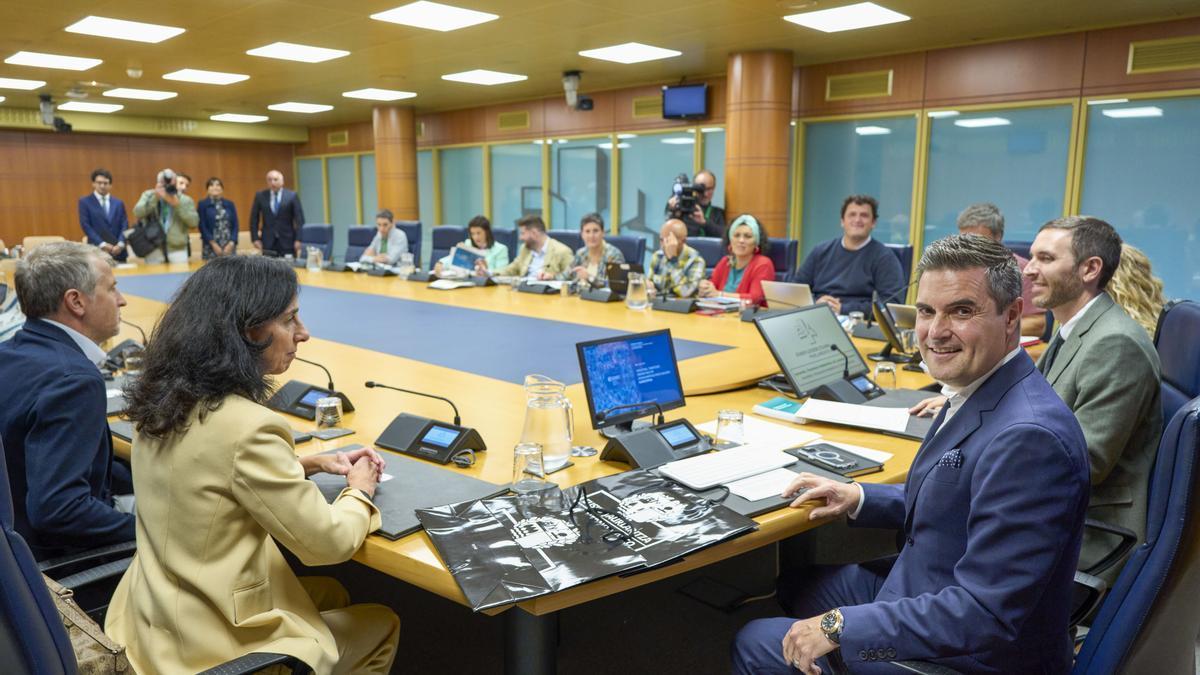 El consejero de Industria, Transición Energética y Sostenibilidad, hoy en el Parlamento Vasco.