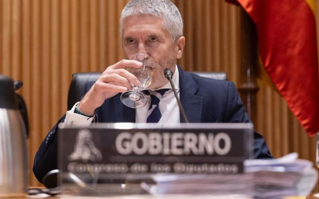 El ministro de Interior, Fernando Grande-Marlaska. / EP El ministro de Interior, Fernando Grande-Marlaska.