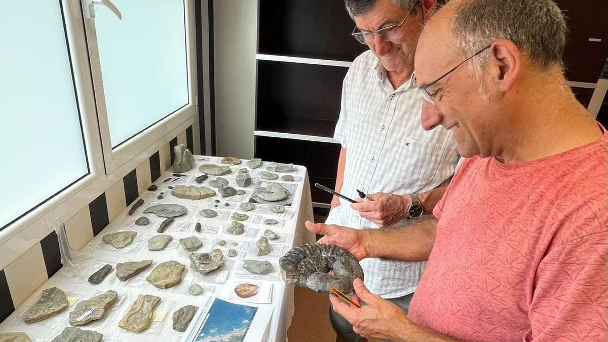 Iñaki Rementeria y el paleontólogo Mikel López-Horgue, analizando una de las piezas de la exposición.