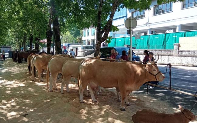Herriko animaliek lehentasuna izango dute erakusketan