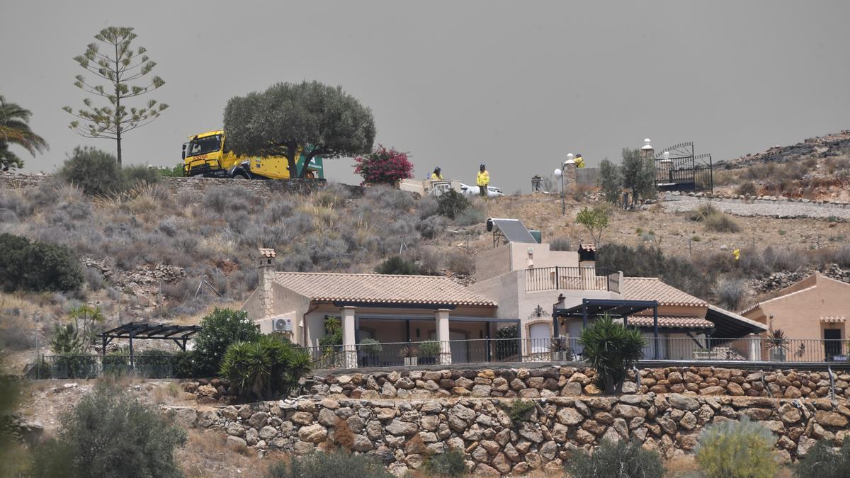 Terrenos calcinados por el incendio foresta en Los Gallardos