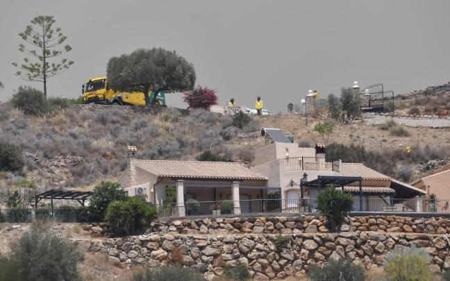 Terrenos calcinados por el incendio foresta en Los Gallardos
