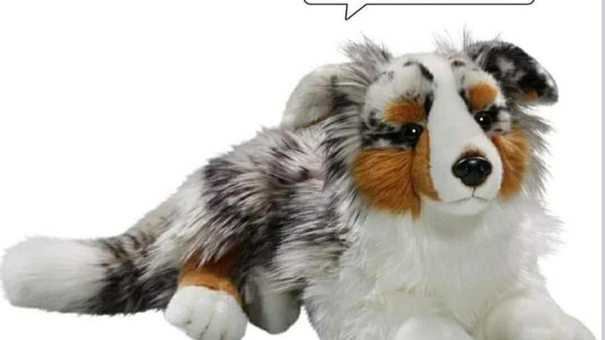 La imagen colgada en Facebook de la mascota perdida en Vitoria