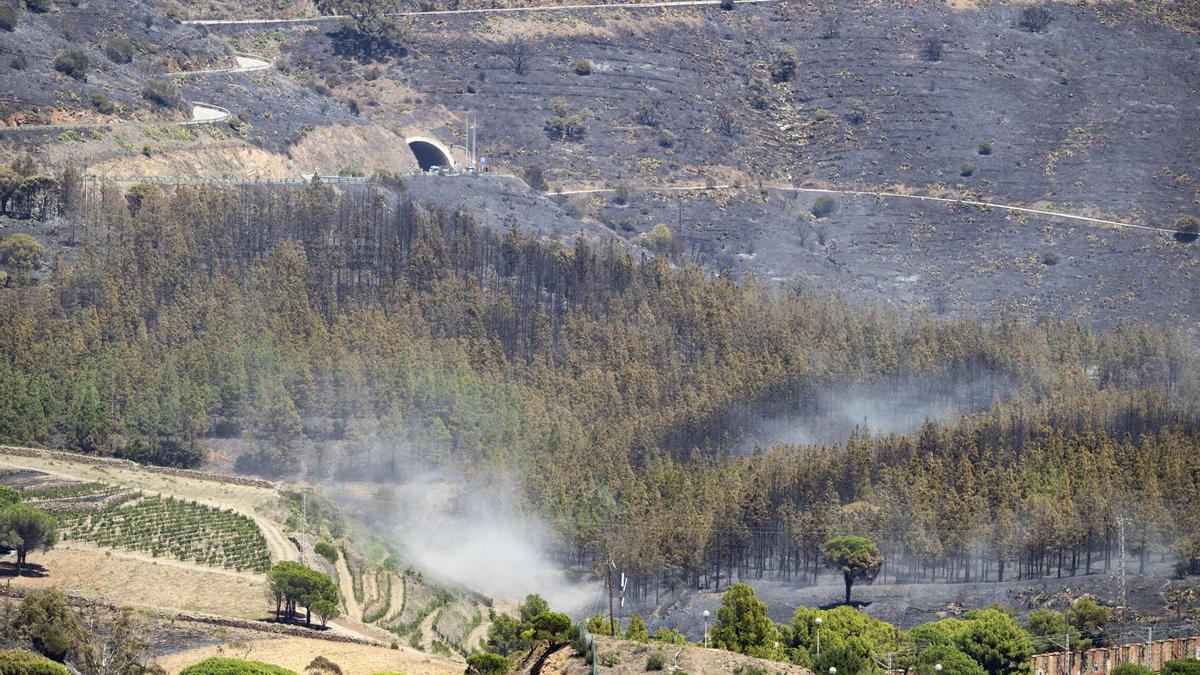 ista de las zonas afectadas por el incendio que comenzó el viernes en Portbou, y que en estos momentos sigue activo