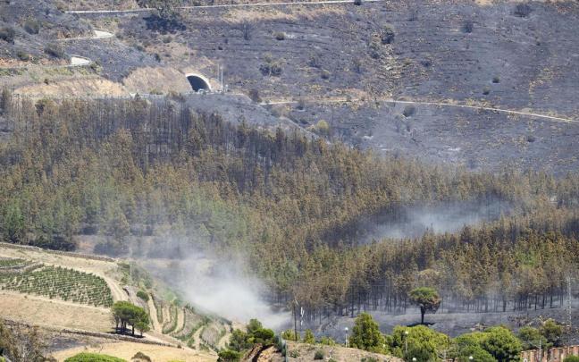 ista de las zonas afectadas por el incendio que comenzó el viernes en Portbou, y que en estos momentos sigue activo ista de las zonas afectadas por el incendio que comenzó el viernes en Portbou, y que en estos momentos sigue activo