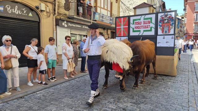 Irungo Euskal Jira.