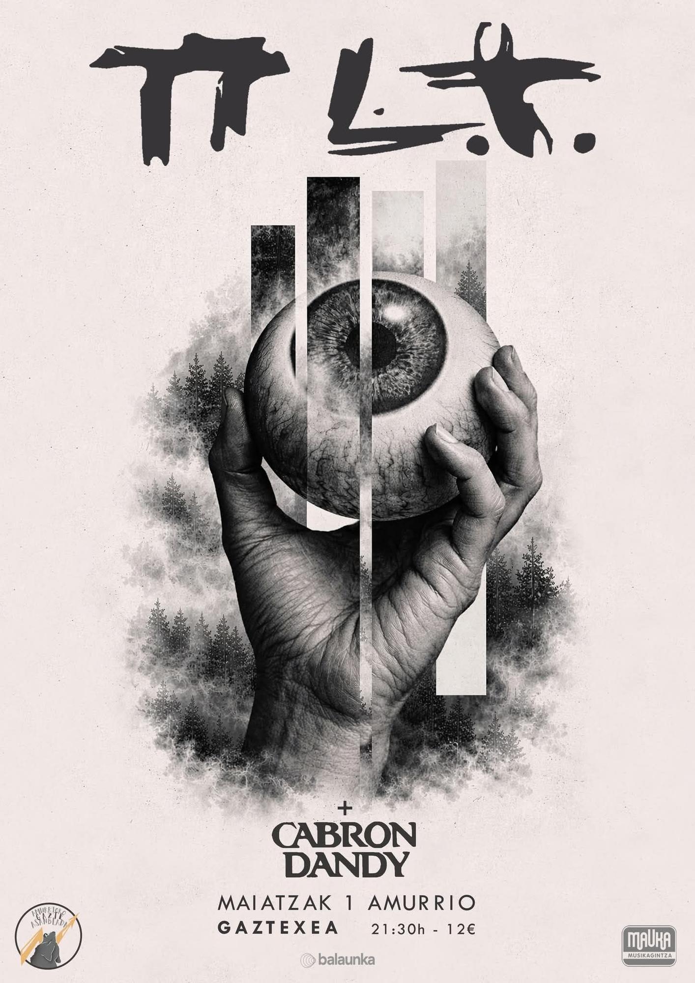 Cartel del concierto