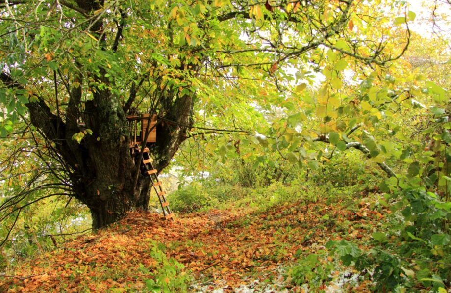 Castañar de Apellániz