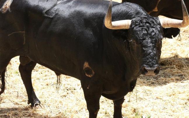 Sexto encierro de San Fermín con toros de la ganadería Jandilla Sexto encierro de San Fermín con toros de la ganadería Jandilla
