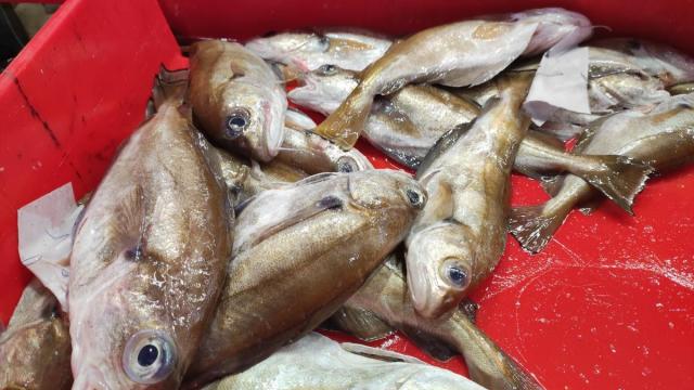 Hay supermercados que eliminan el servicio de pescadería en favor del producto envasado.