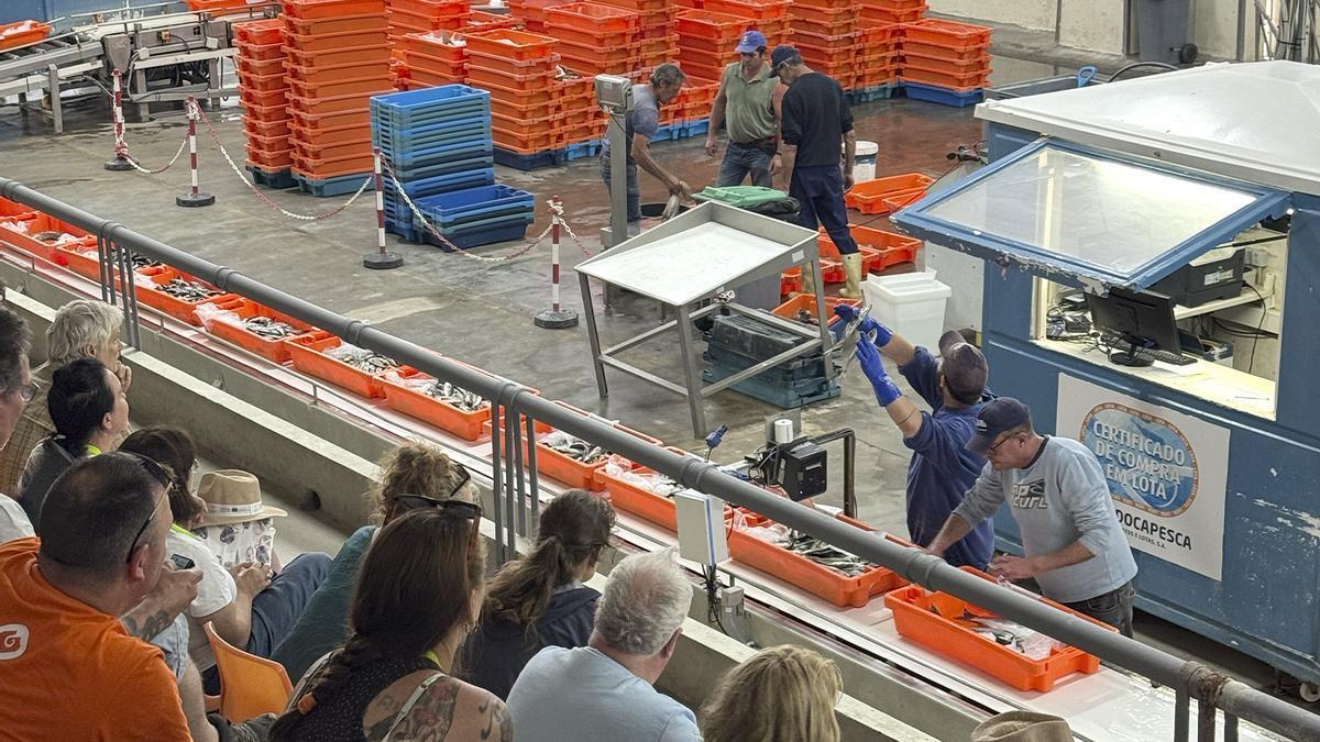 Visita técnica del Foro FISHINN a instalaciones de acuicultura en Portugal.