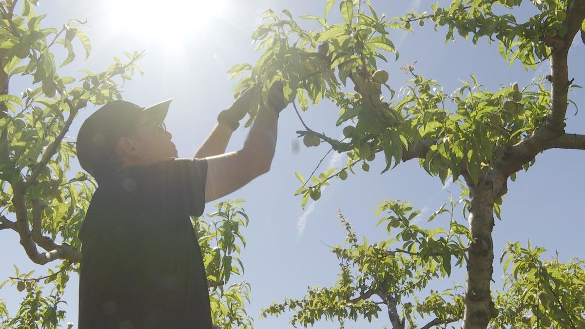 Un agricultor trabaja en el campo en una imagen de archivo.