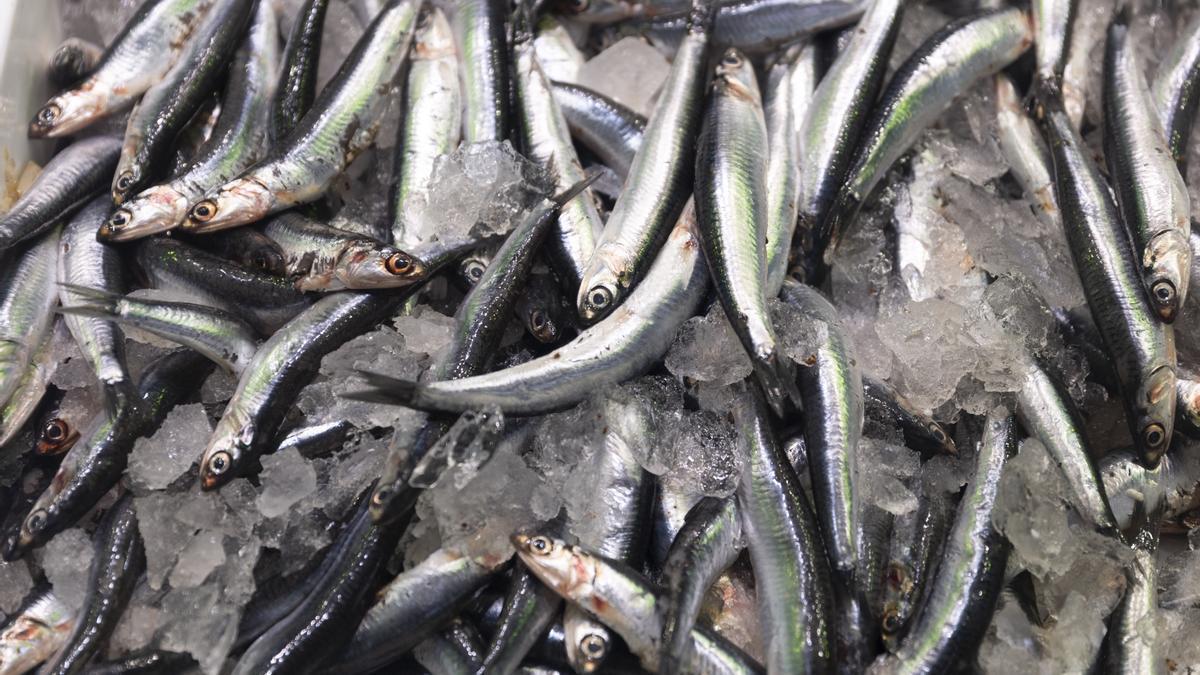 Boquerones expuestos en una pescadería de un mercado.