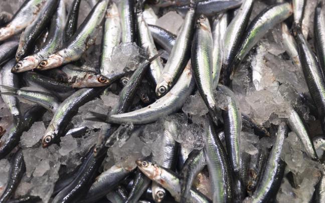 Boquerones expuestos en una pescadería de un mercado.