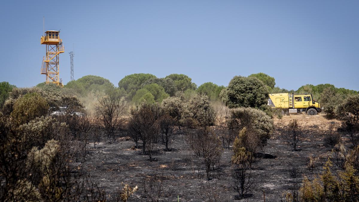 Incendio forestal en Madrid.