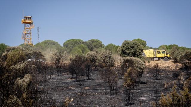 Incendio forestal en Madrid.