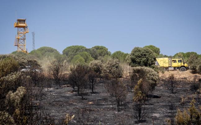 Incendio forestal en Madrid.
