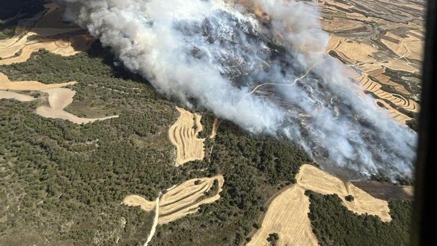Incendio forestal declarado en Leciñena (Zaragoza).