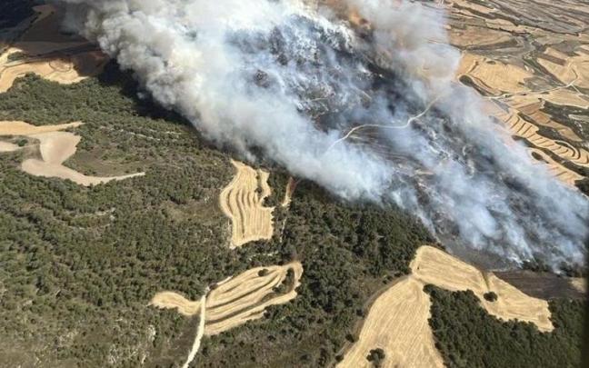 Incendio forestal declarado en Leciñena (Zaragoza).