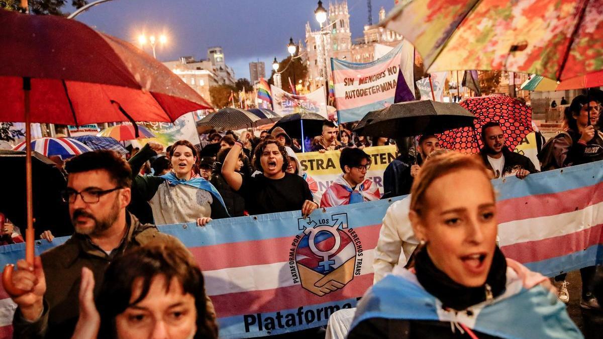 Manifestación en Madrid a favor de los derechos de las personas trans,