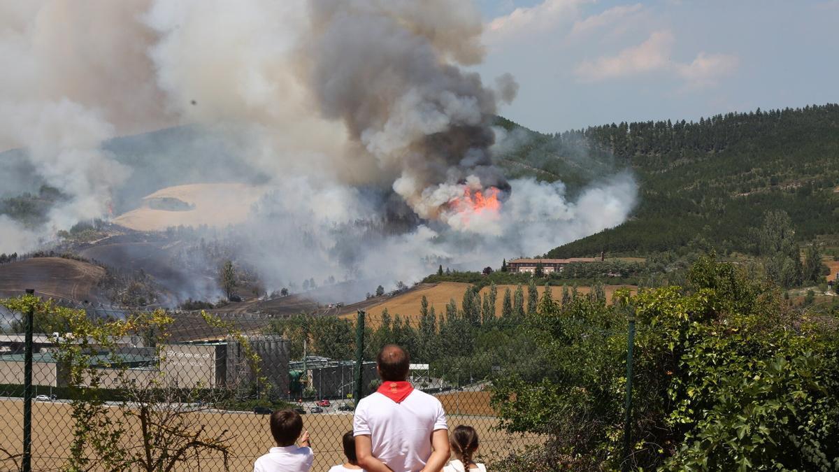 Un incendio forestal en Olloki pone en alerta a la Comarca de Pamplona JAVIER BERGASA
