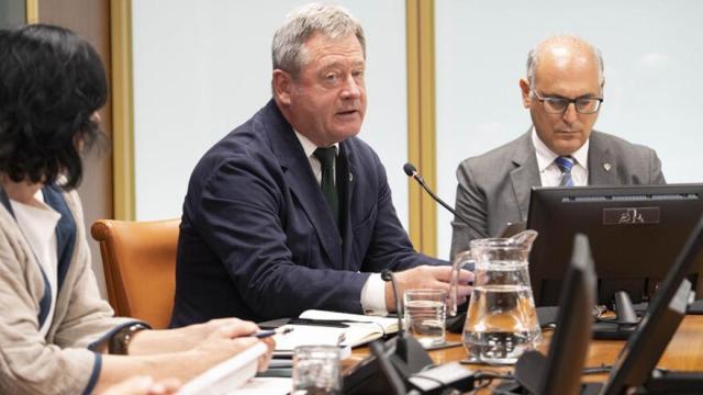 El consejero de Seguridad, Bingen Zupiria, en una anterior comparecencia en el Parlamento