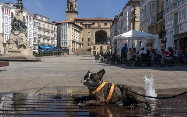 Goizaldean oskarbi egongo da, baina goizean hodei batzuk agertuko dira.