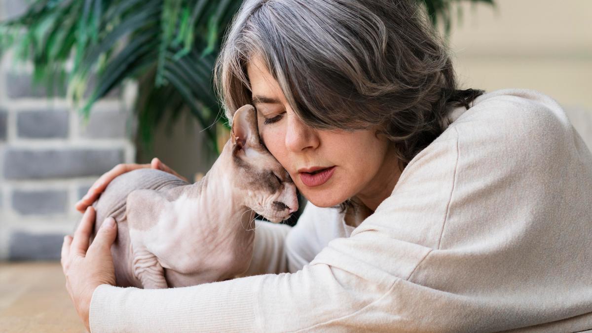 Una gata responde a los mimos y caricias de su humana.