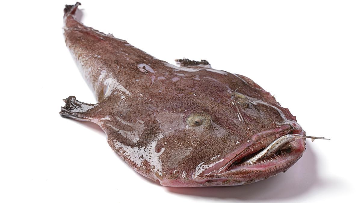 El rape, un sabroso pescado.