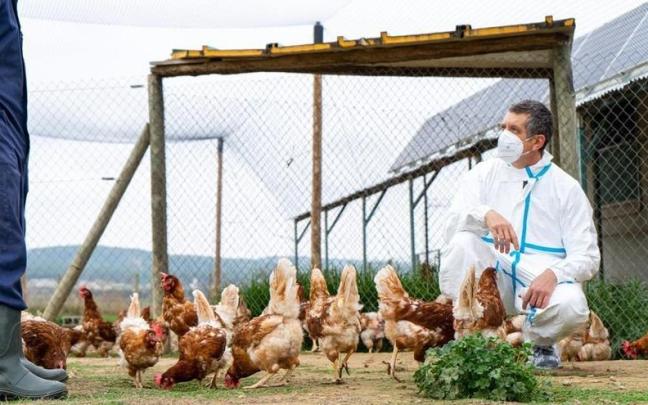 Un veterinario inspecciona una granja de aves. Un veterinario inspecciona una granja de aves.