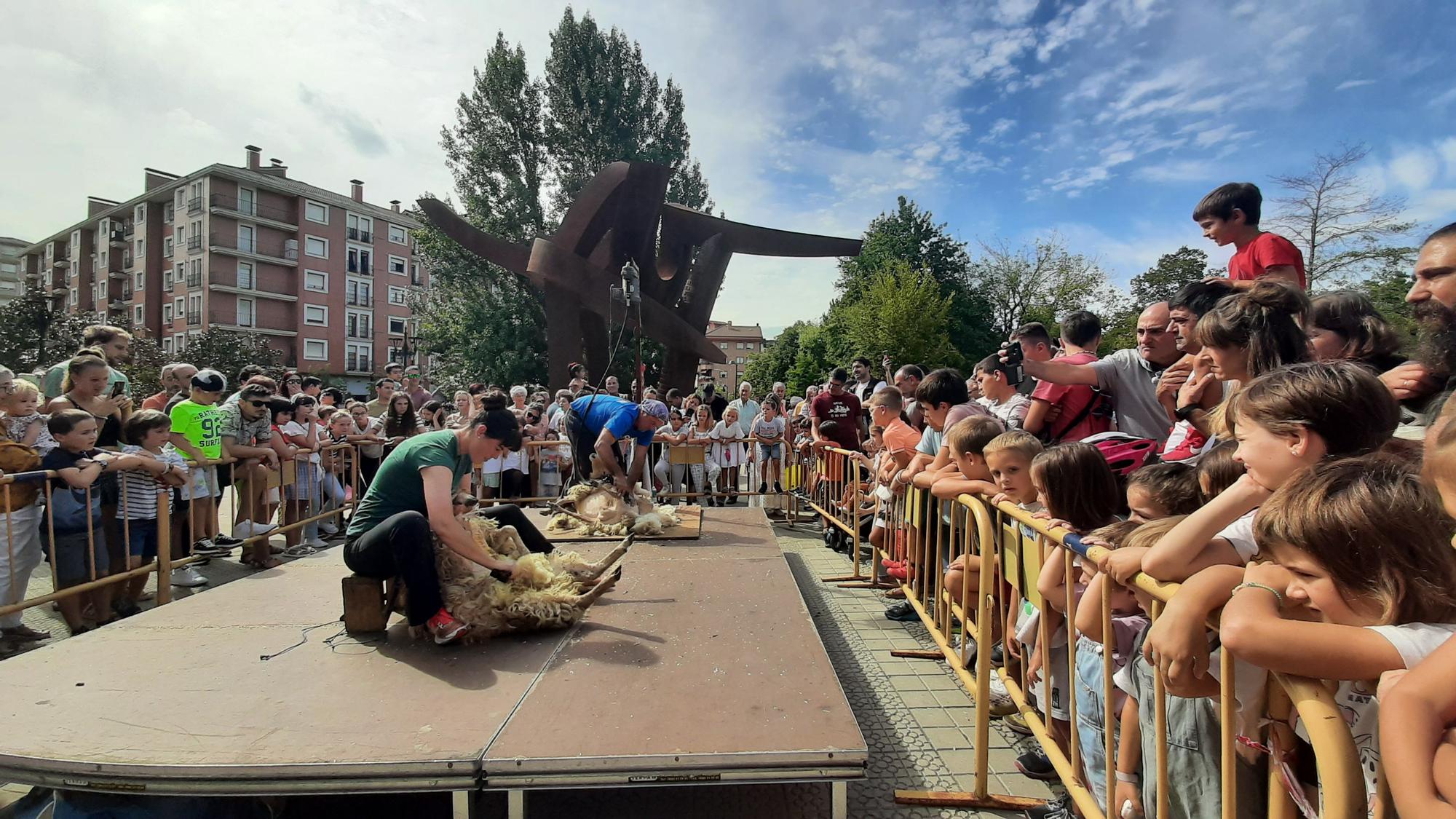 Exhibición de esquileo