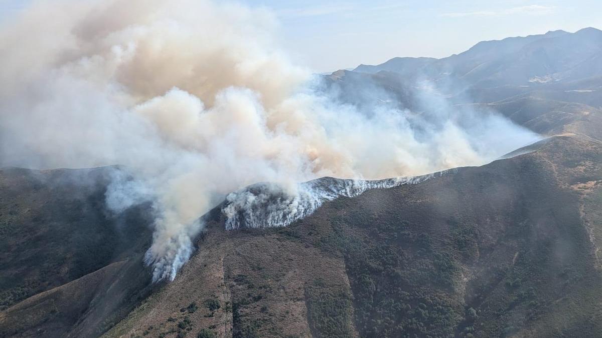 El incendio en Barniedo de la Reina (León).