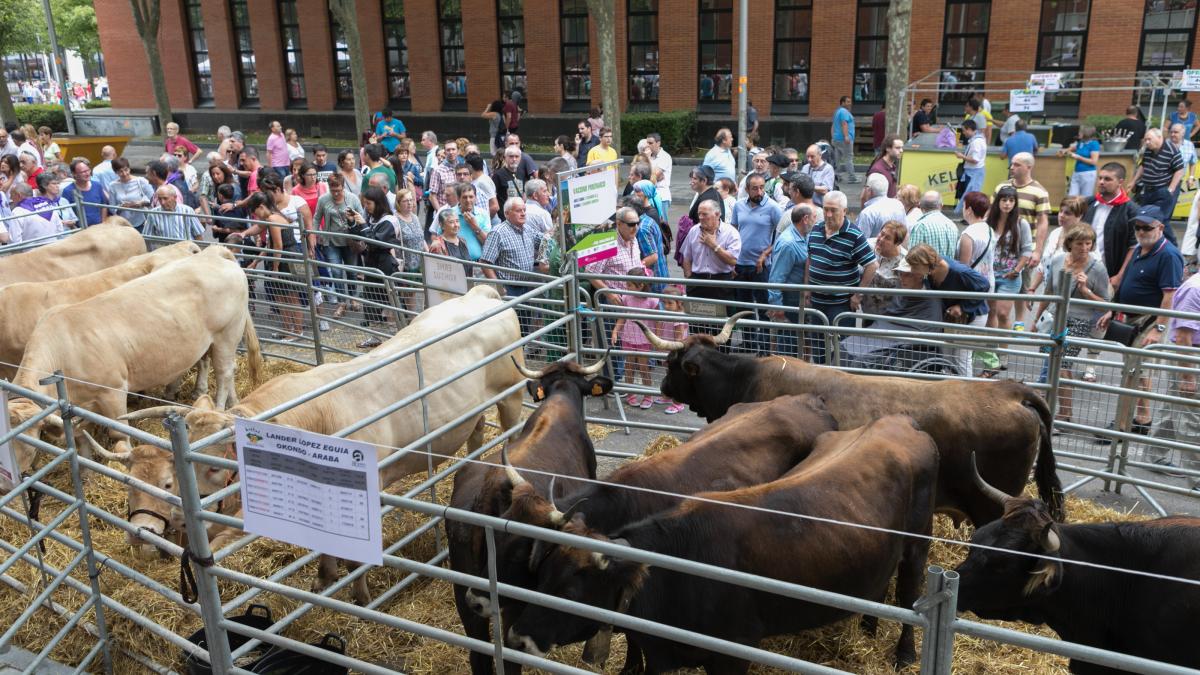 Una edición pasada de la Feria de Santiago. Foto: Diputación de Araba