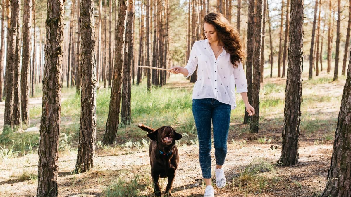 Chica joven pasea por el monte con su perro mientras juega con él mostrándole un palo.